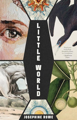 Little World cover image
